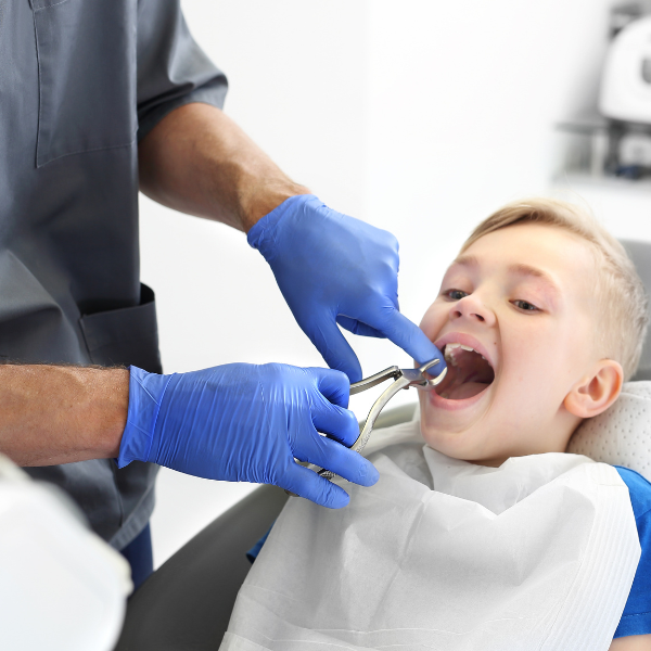 orthodontist continuing education